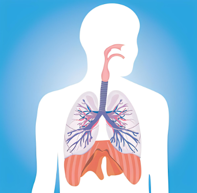 呼吸科常见的检查项目